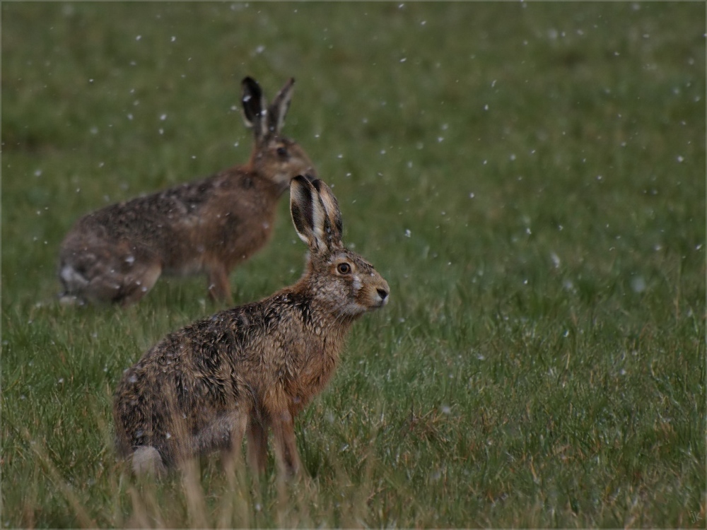 aprilwetter...