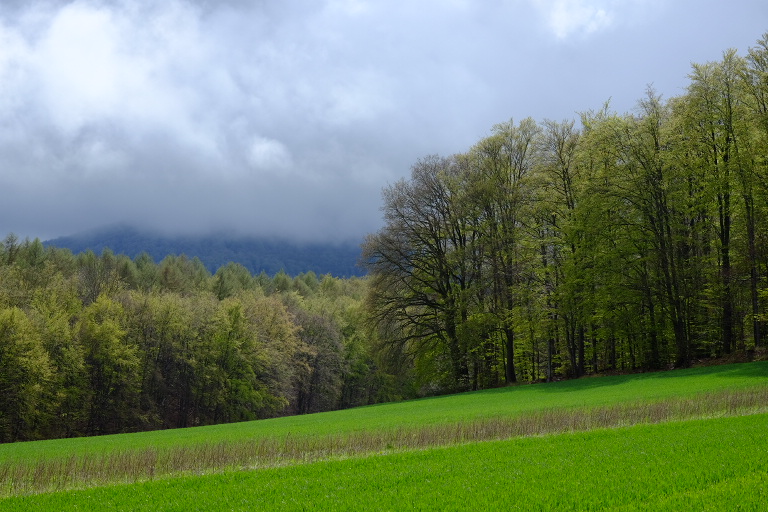 Aprilwetter