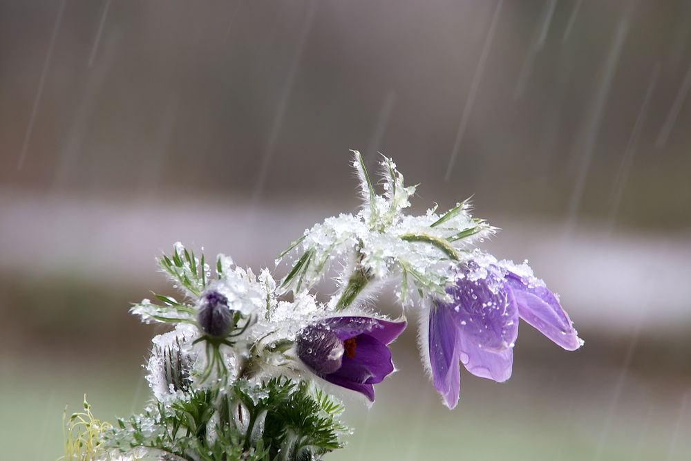 Aprilwetter!