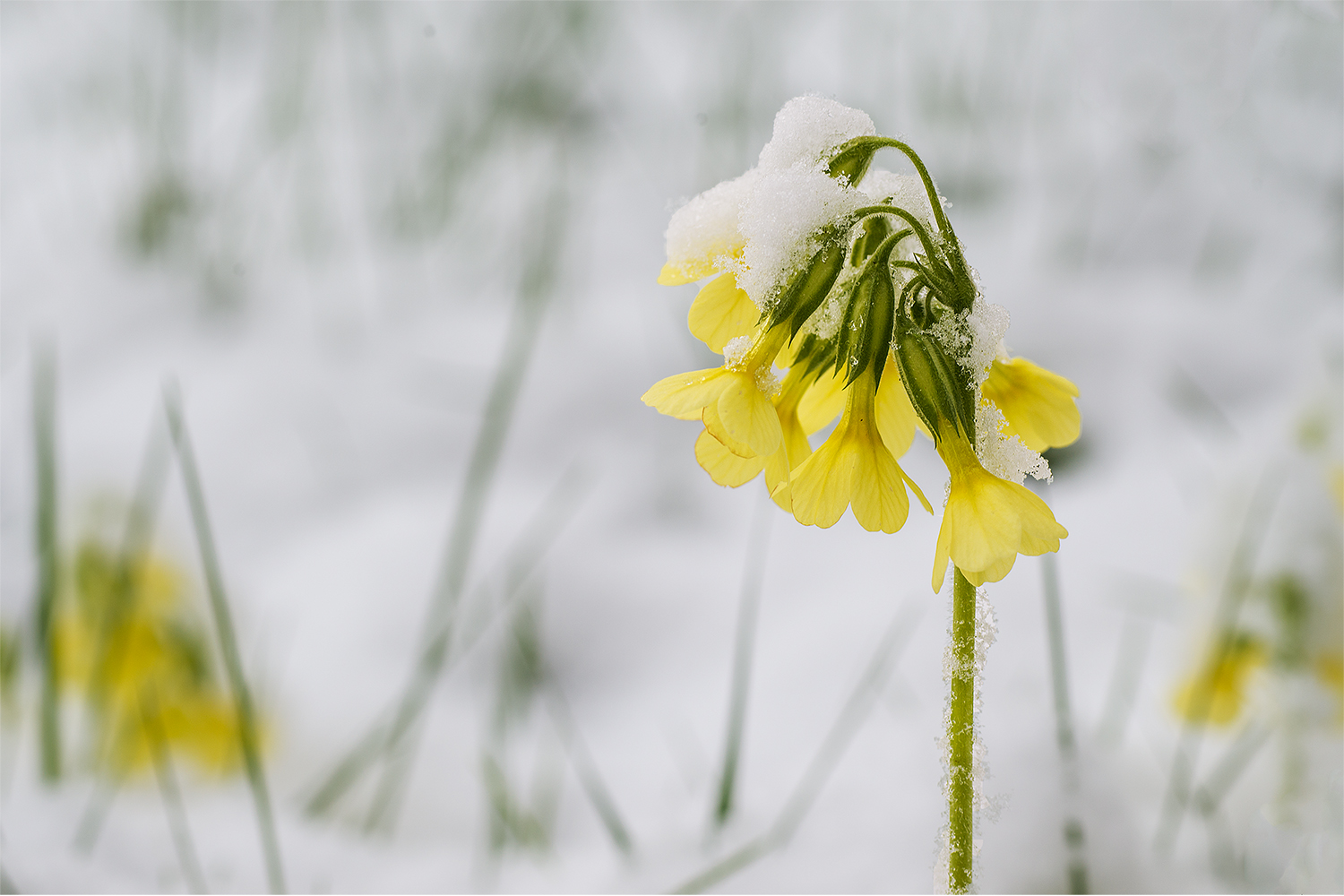 Aprilwetter