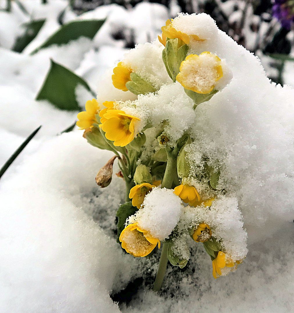 Aprilwetter