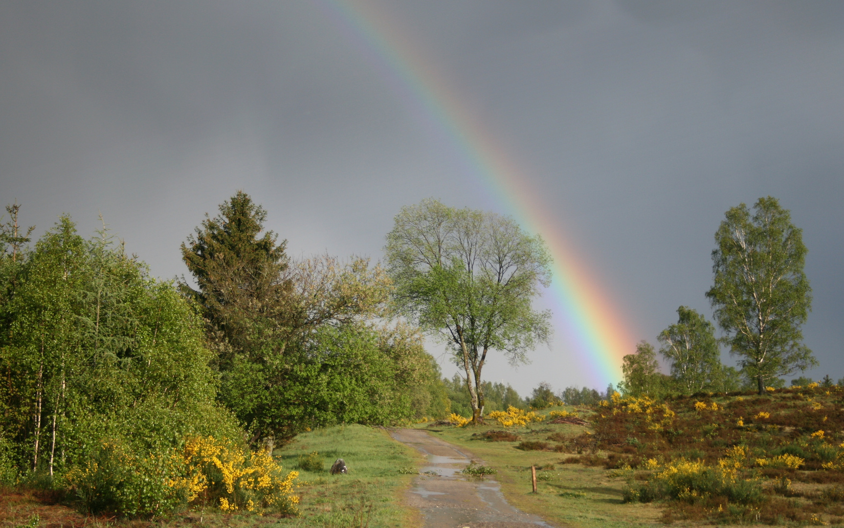 Aprilwetter am 1.Mai