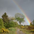 Aprilwetter am 1.Mai