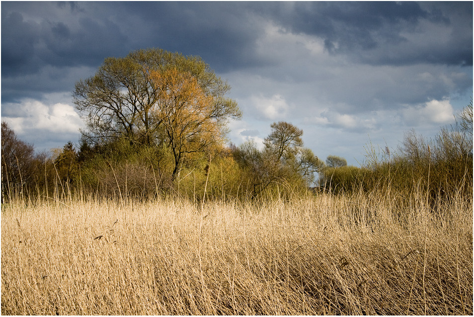 Aprilwetter an der Wümme