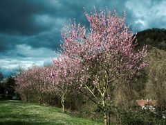 Aprilwetter