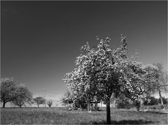 Aprilwetter