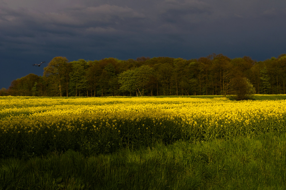 Aprilwetter