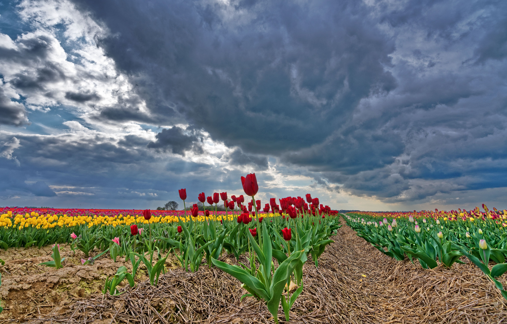 Aprilwetter Foto & Bild jahreszeiten, frühling, landschaften Bilder