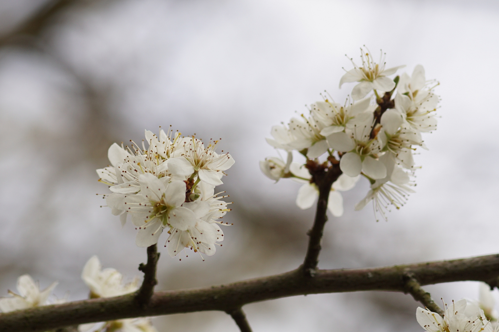 Aprilwetter