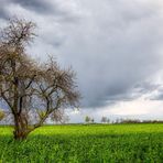 Aprilwetter -II-