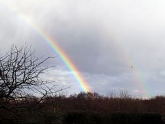 Aprilwetter im Februar (unbearbeitete Version)