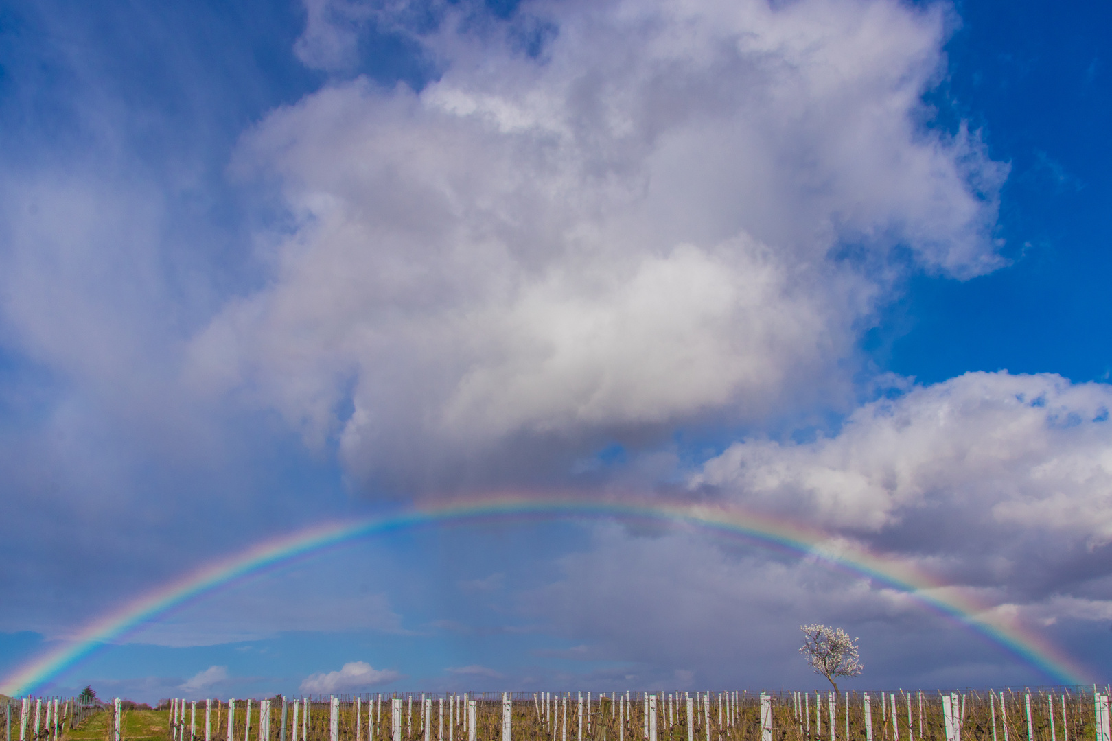 Aprilwetter im März