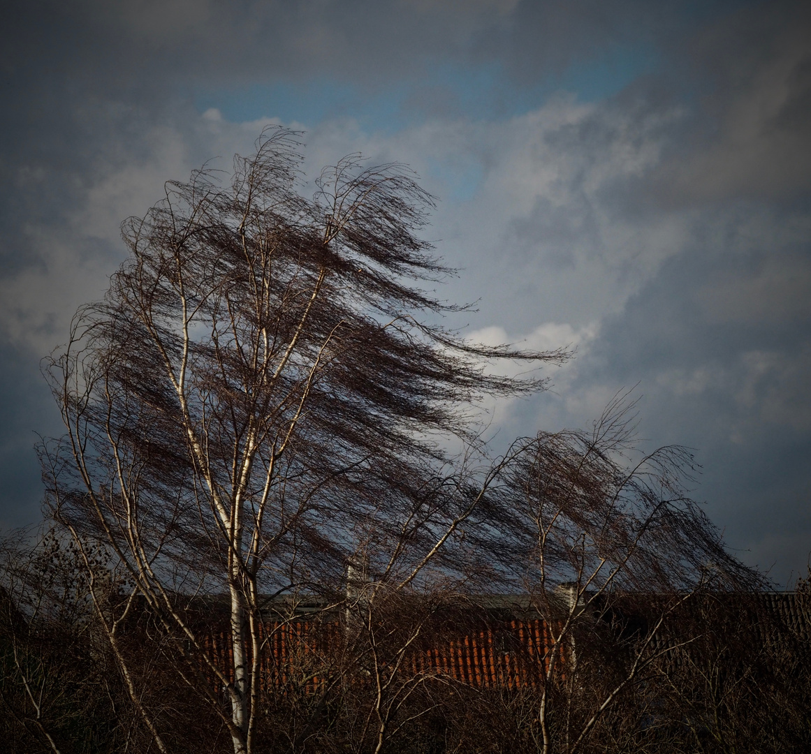 Aprilwetter im März