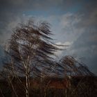 Aprilwetter im März