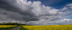 Aprilwetter im Mai