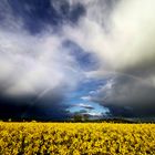 Aprilwetter im Mai 