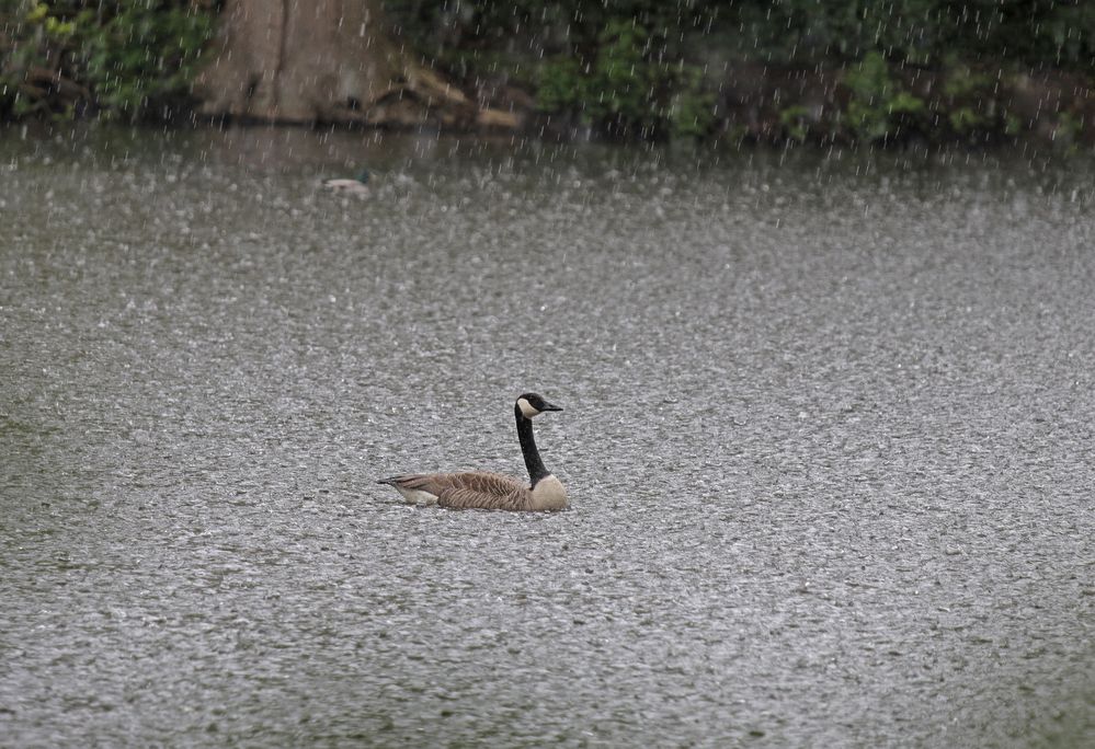 Aprilwetter im Mai