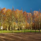 Aprilwetter im Schlossgarten