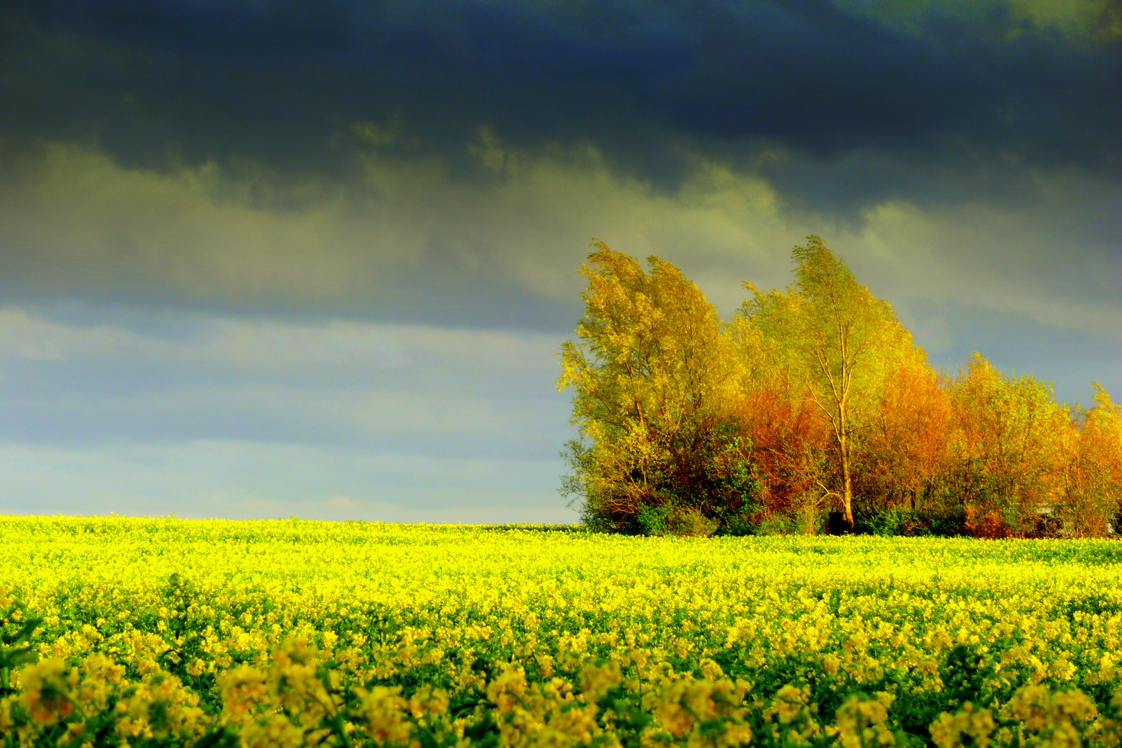 Aprilwetter in Mecklen burg