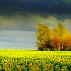 Aprilwetter in Mecklen burg