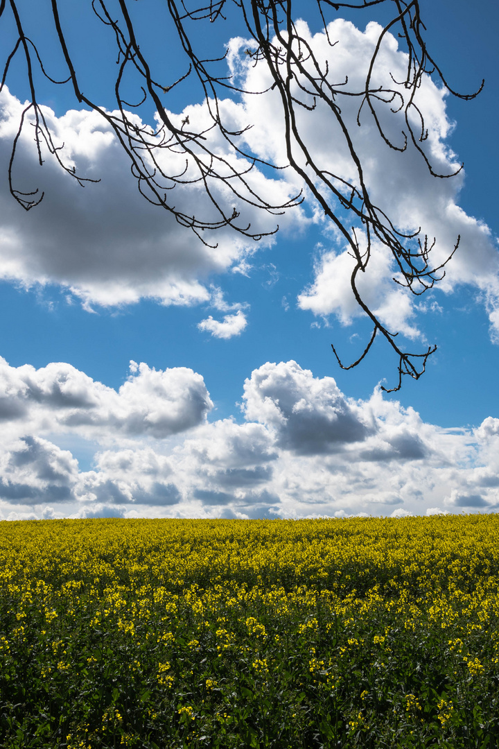 Aprilwetter in Witten