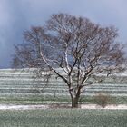 Aprilwetter-Momentaufnahme