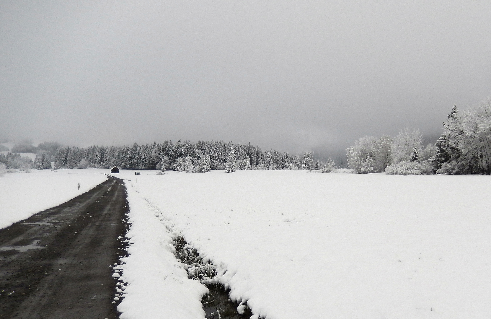 Aprilwetter / Tiempo tornadizo / Giboulées de mars....06