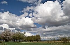 Aprilwetter ~ von unten gesehen