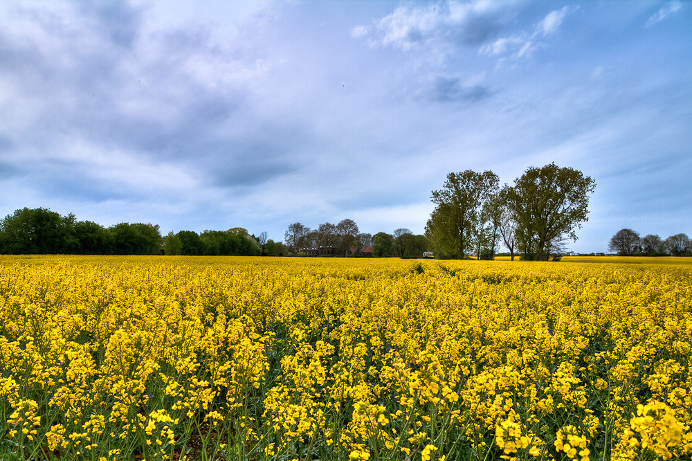 Aprilwetter01