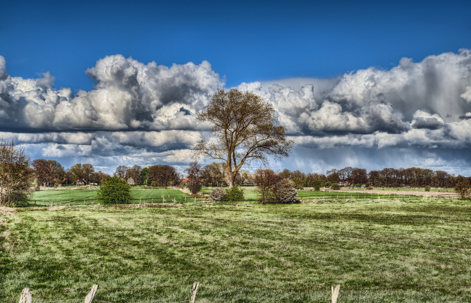 Aprilwolken und ein einsamer Baum