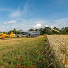 Apron Stage at the Grain Field