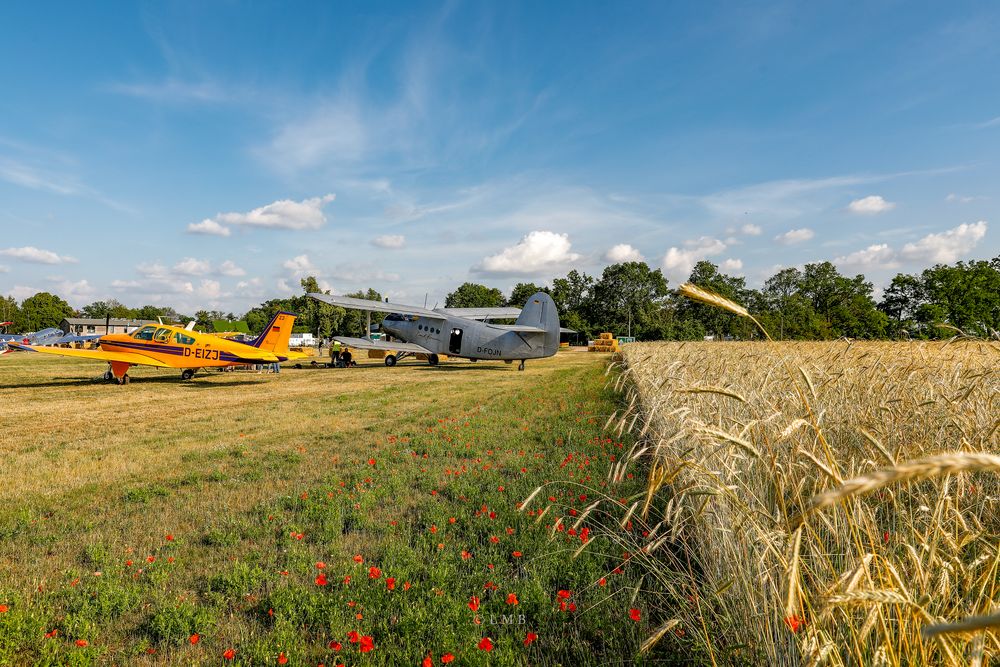 Apron Stage at the Grain Field