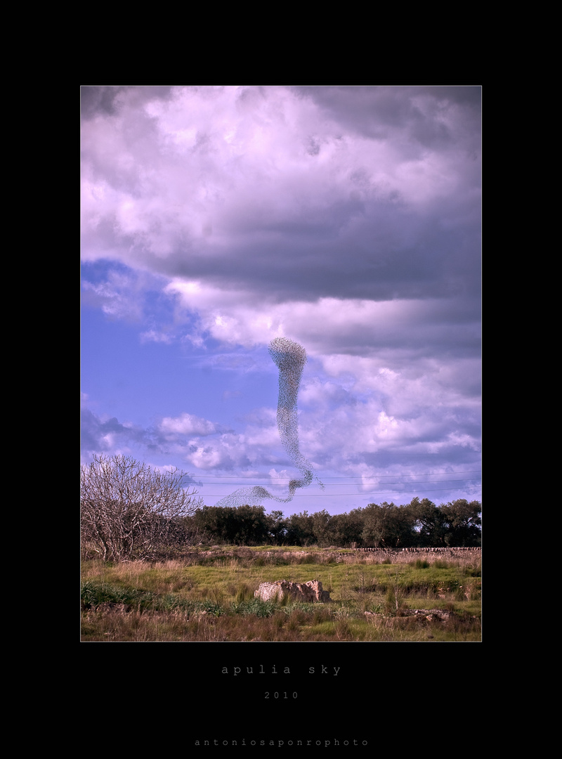 apulia sky 002