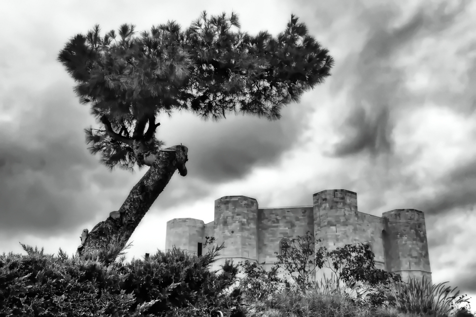 Apulien - Castel del Monte