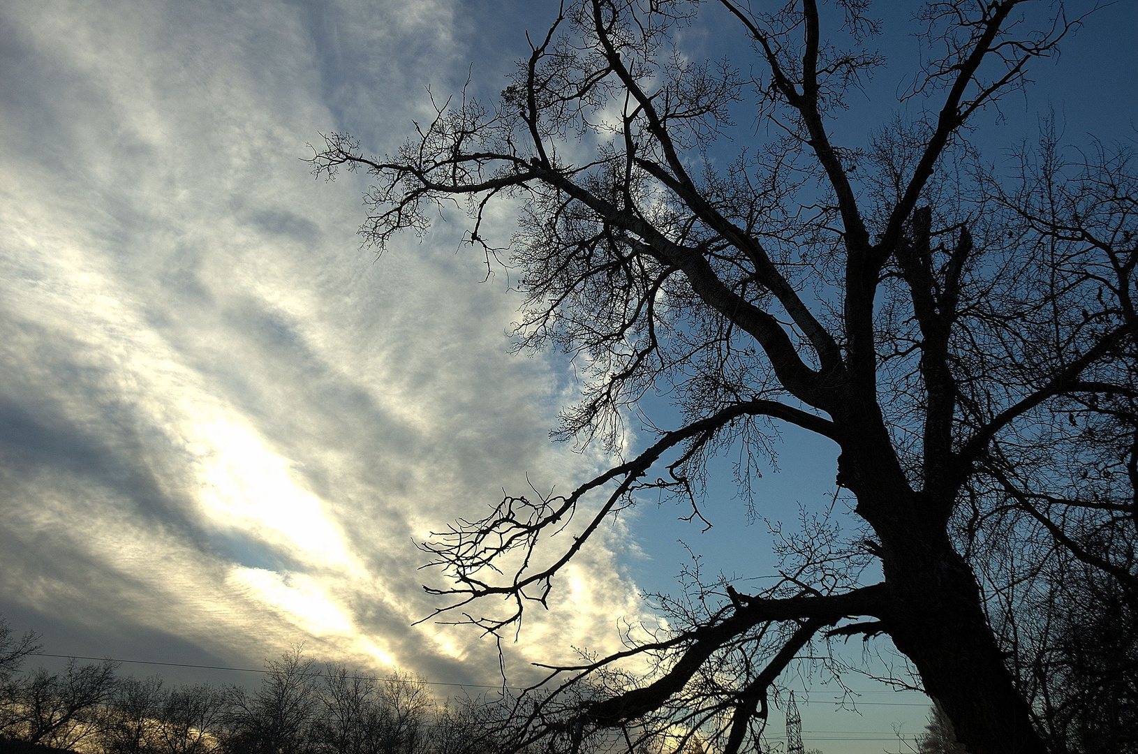 Apuntando al cielo