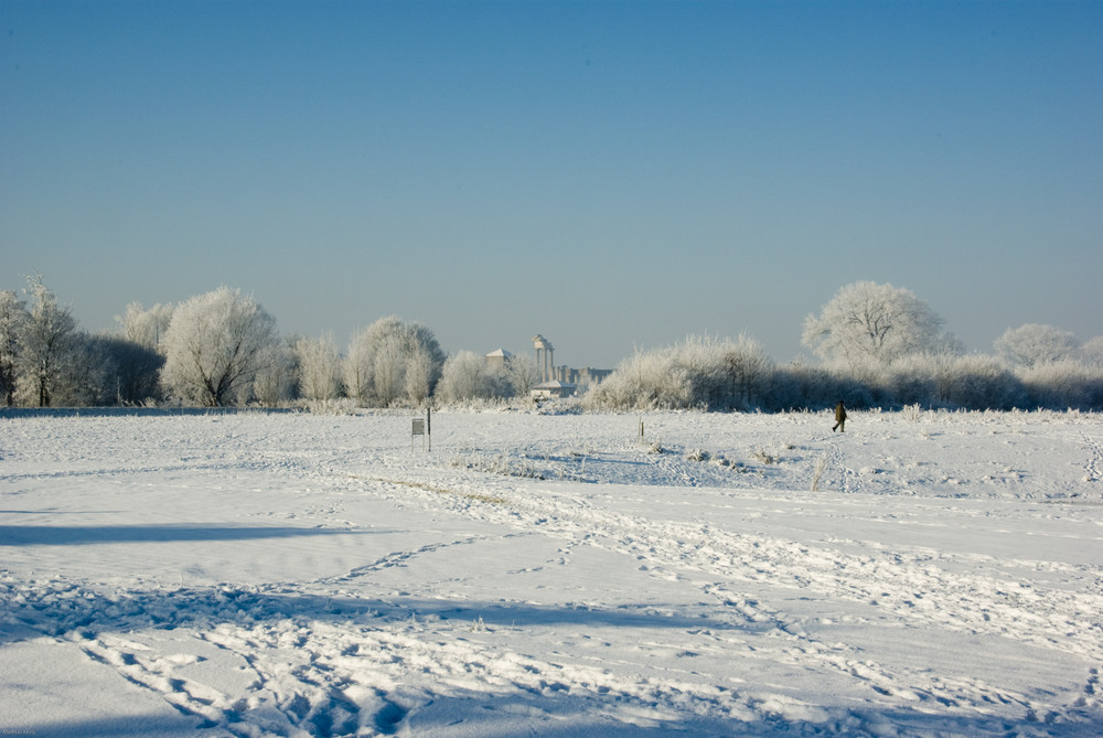 APX Im Winterschlaf