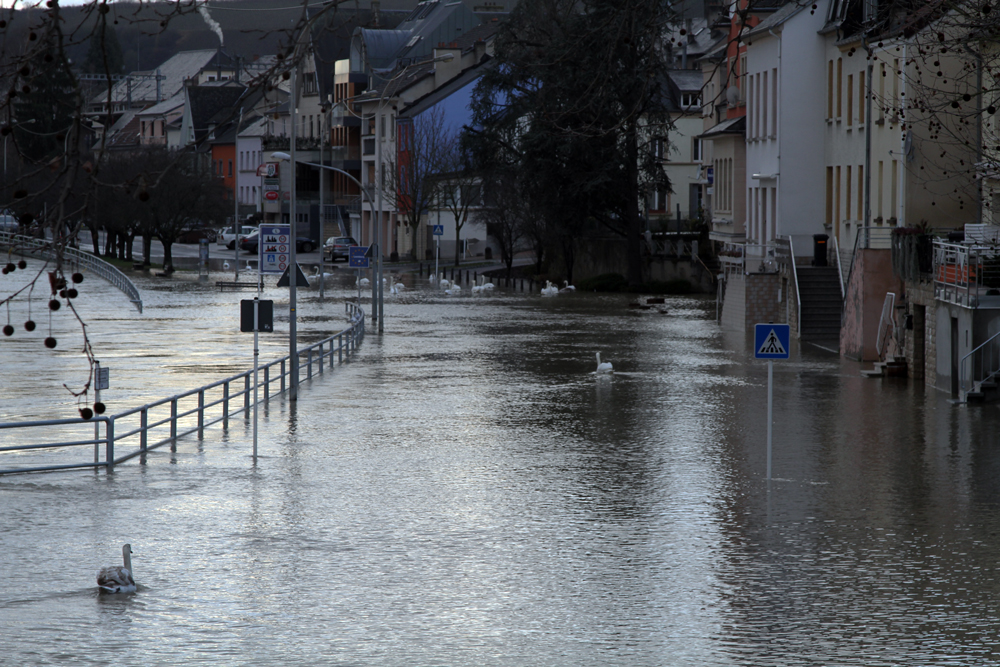 Aqua Alta an der Mosel 2