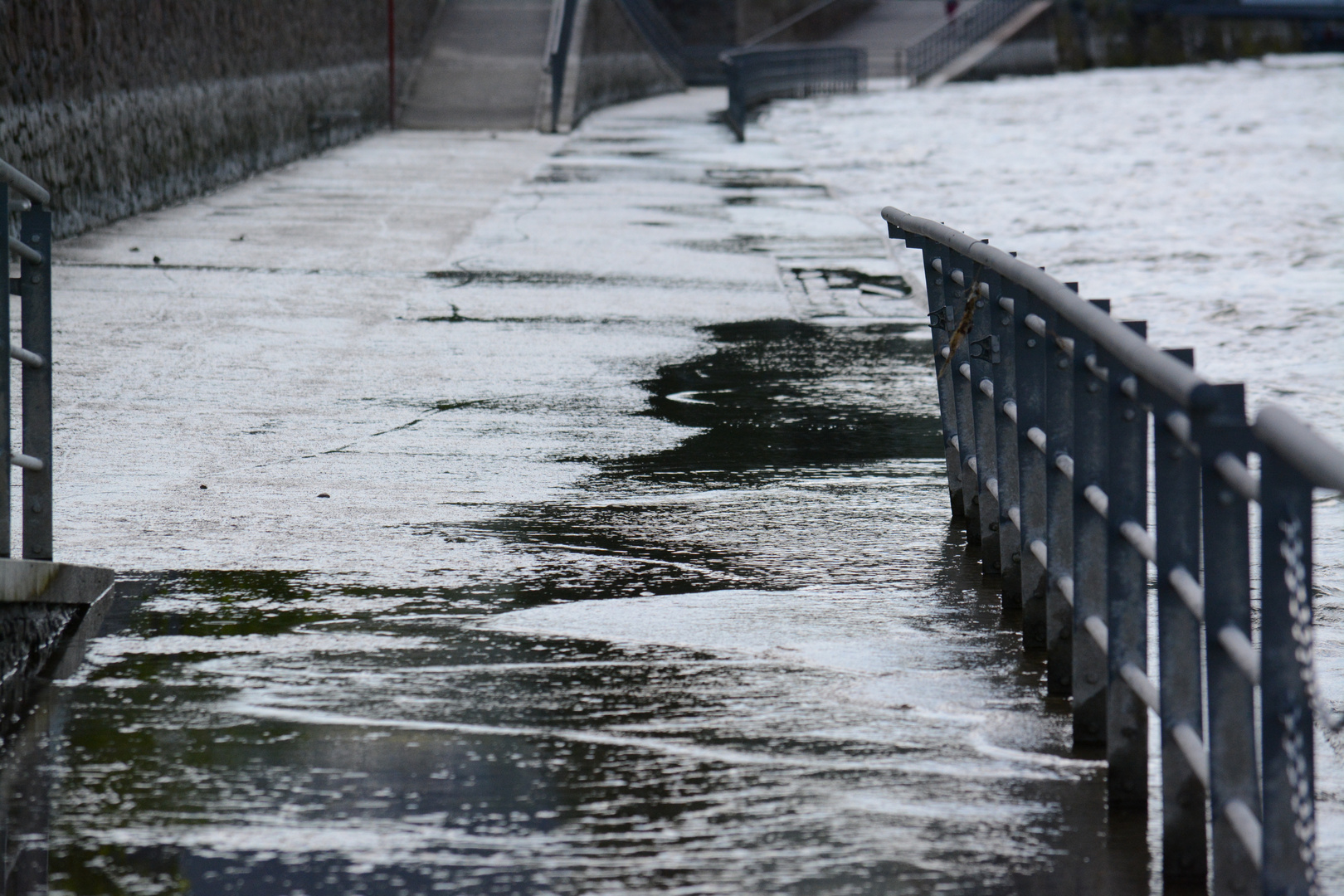 Aqua alta at the Rhein