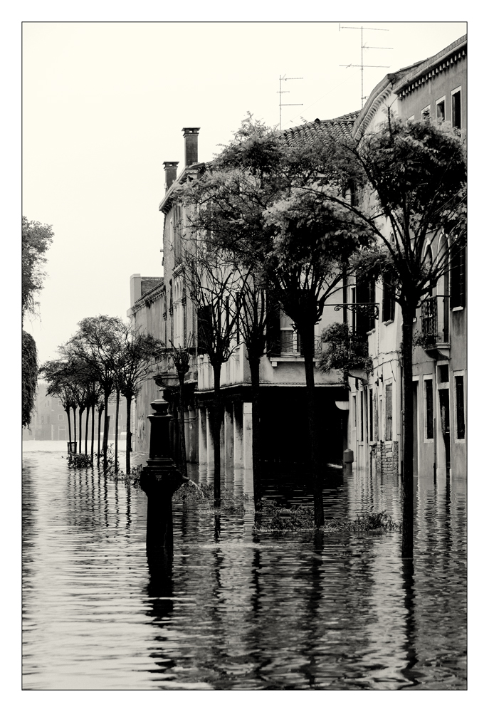 Aqua alta in Venedig