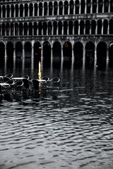 Aqua alto auf dem Marcusplatz