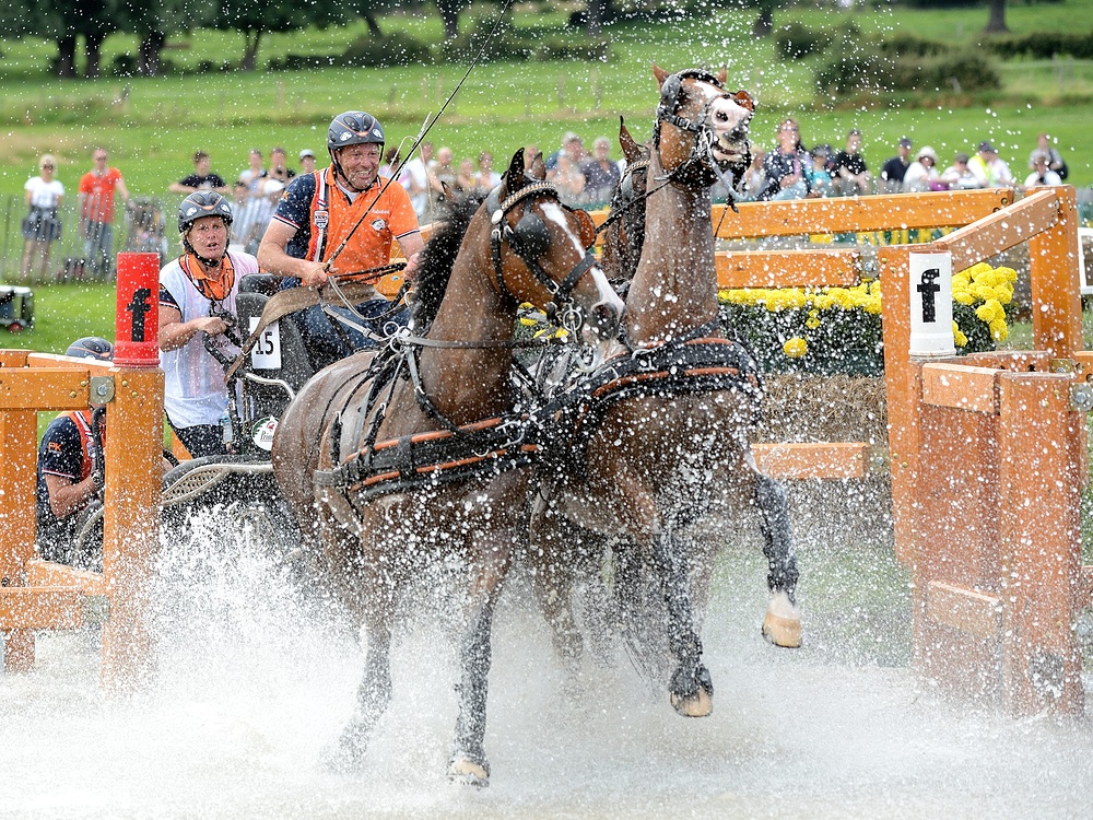 Aqua spectaculum