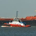 AQUADIVA / 	BULK CARRIER