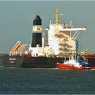 AQUADIVA / 	BULK CARRIER / Maasmond / Rotterdam