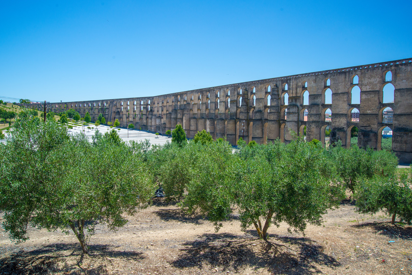 Aquaduct with olive groves