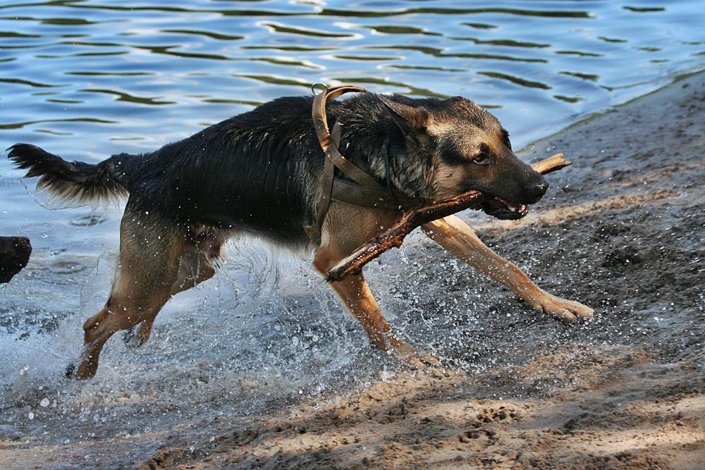 Aquaplanning