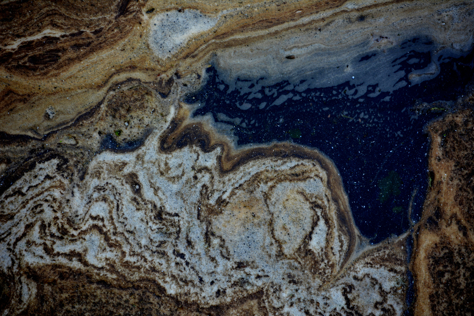 Aquaqstrukt - Pollen und Staub auf dem Wasser