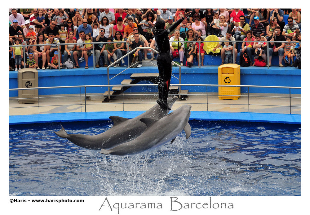 Aquarama Barcelona