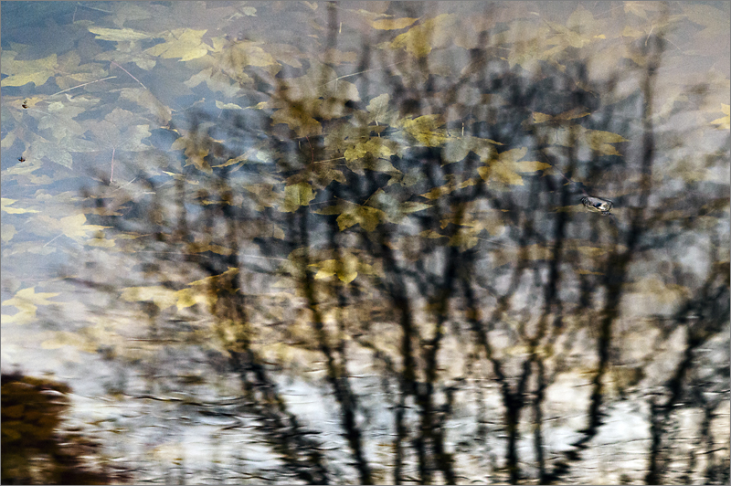 Aquarell