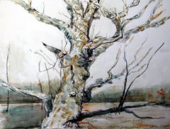 Aquarell: Alter Baum