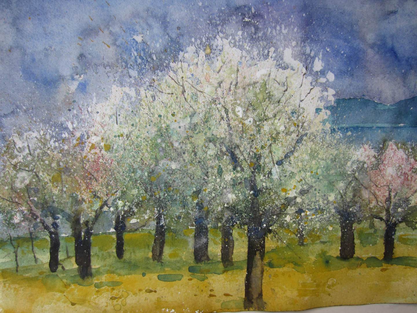 Aquarell, Blühende Obstbäume